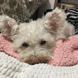 Meet your Posher, Eliana